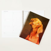 Vizsla (Devant avec enveloppe)