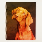Vizsla (Devant)