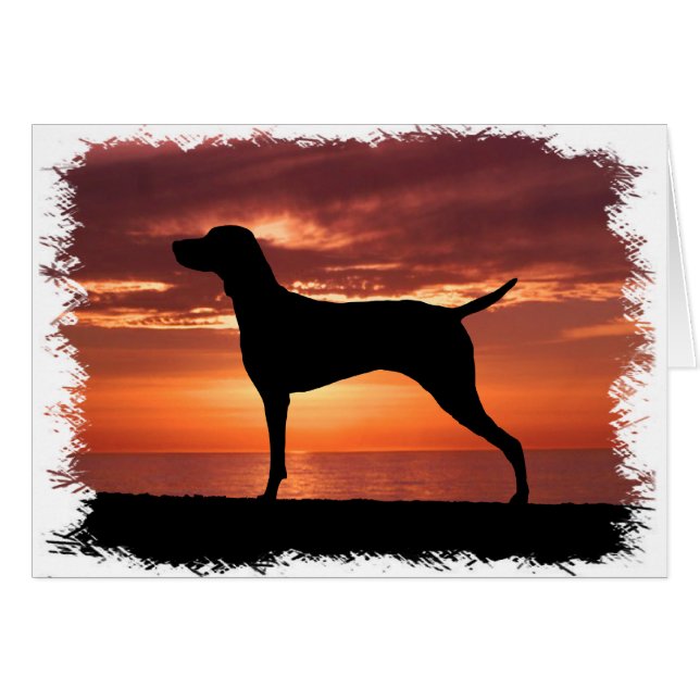 Vizsla (Devant horizontal)