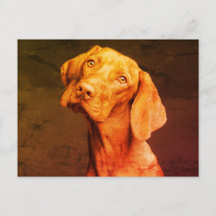 Vizsla Briefkaart