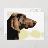Vizsla Briefkaart (Voorkant / Achterkant)
