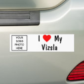 Vizsla Bumpersticker (Op auto)