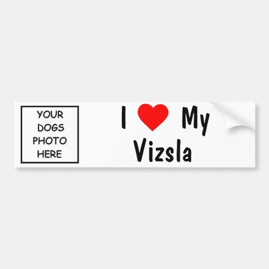 Vizsla Bumpersticker (Voorkant)