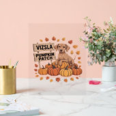 Vizsla Citrouille Patch Amoureux de les chiens Tha (Mariage)