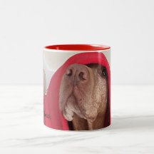 Vizsla Coffee Mok