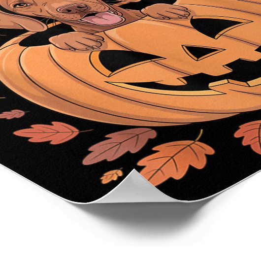 Vizsla Costume On Pumpkin Halloween Vizsla Poster (Hoek)