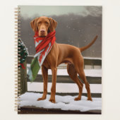 Vizsla dans la neige à Noël (Devant)