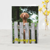 Vizsla die "u" mist kaardt kaart (Gele Bloem)