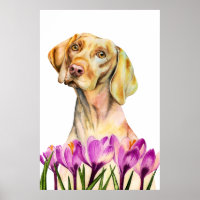 Vizsla Dog Waterverf schilderen, fijne kunst