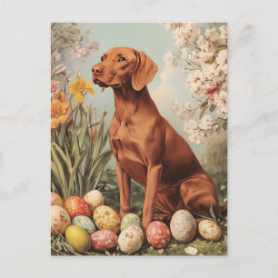 Vizsla  Easter Briefkaart