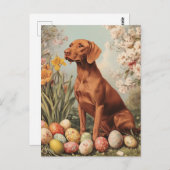 Vizsla  Easter Briefkaart (Voorkant / Achterkant)