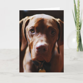 Vizsla - en zij roepen het kalverliefde kaart