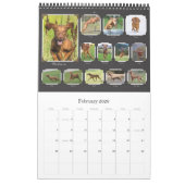Vizsla fotoalbum kalender (Feb 2026)