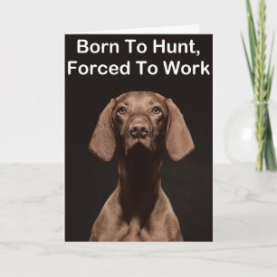 Vizsla Geboren Om Te Werken Kaart