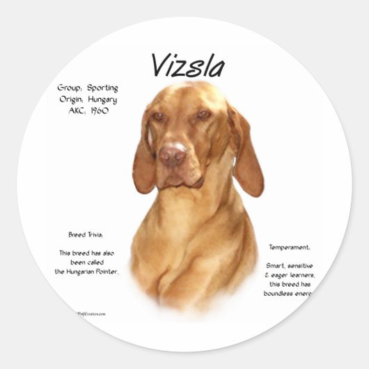 Vizsla Geschiedenis Ronde Sticker (Voorkant)