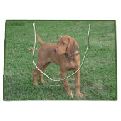 Vizsla Gift Bag Large Cadeauzakje (Voorkant)