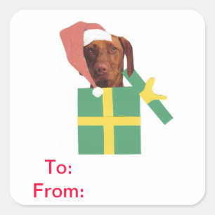 Vizsla Gift Labels aan en van Sticker