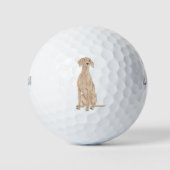 Vizsla Golfballen (Voorkant)