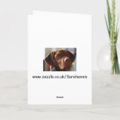 Vizsla - groot kijken mijn oren? kaart (Achterkant)