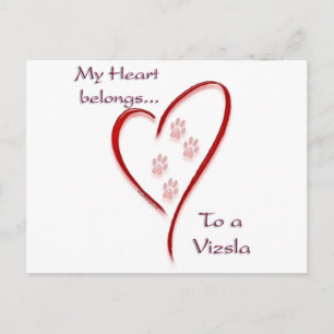 Vizsla Heart hoort thuis Briefkaart