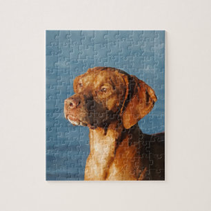 Vizsla hond - Hongaarse hond Legpuzzel
