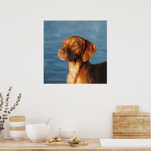 Vizsla hond - Hongaarse hond Poster (Keuken)