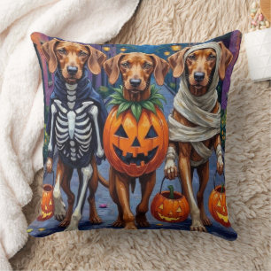Vizsla-honden gaan langs voor trick-or-treat in Ha Kussen