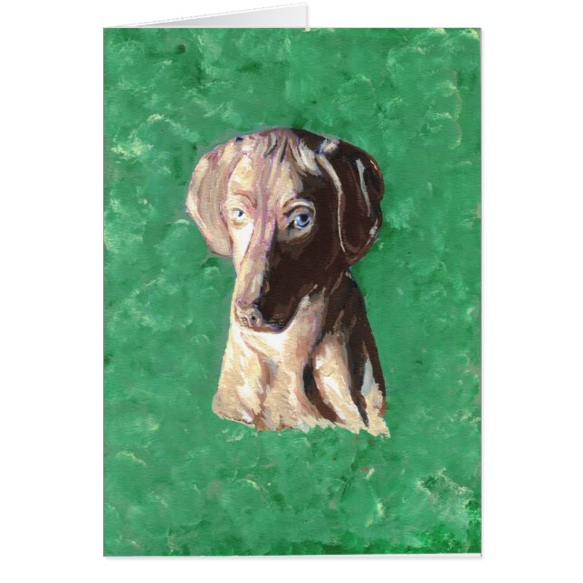 Vizsla, Hongaarse aanwijzer (Voorkant)