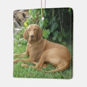 Vizsla Hound Dog Keramisch Ornament (Links)