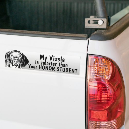 Vizsla is slimmer dan eerling student - grappig bumpersticker (Op Truck)