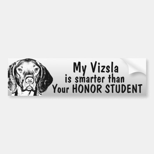 Vizsla is slimmer dan eerling student - grappig bumpersticker (Voorkant)