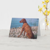 Vizsla Kaart (Gele Bloem)