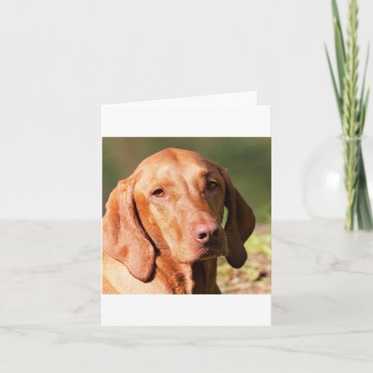 vizsla kaart (Voorkant)