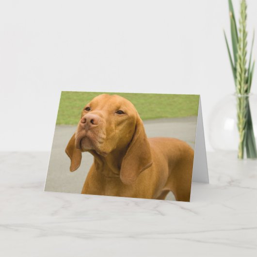 Vizsla Kaart (Voorkant)