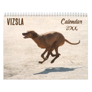 Vizsla kalender 2026