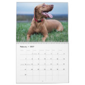 Vizsla kalender 2026 (Feb 2027)