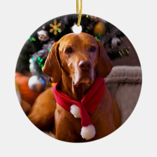 Vizsla kerstversiering (Henry) Keramisch Ornament (Voorkant)