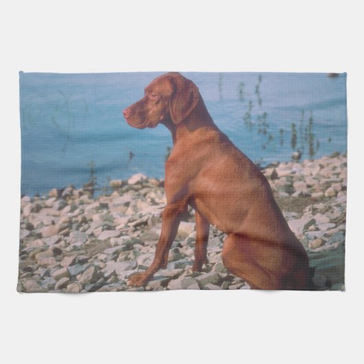 Vizsla Kitchen Towel Theedoek (Horizontaal)