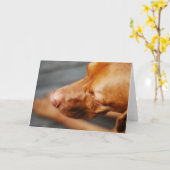 VIZSLA - lege kaart (Gele Bloem)