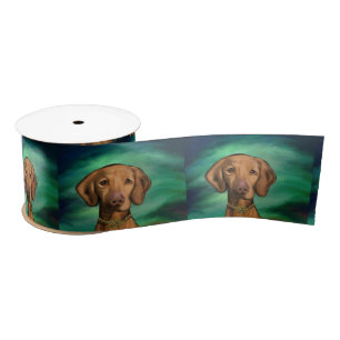 VIZSLA LINT