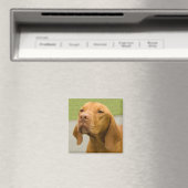 Vizsla Magneet (Insitu (Vaatwasser))