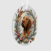 Vizsla Noël  (devant)