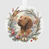 Vizsla Noël  (devant)