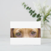 vizsla ogen.png briefkaart (Staand voorkant)