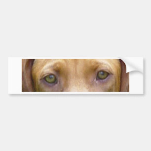 vizsla ogen.png bumpersticker