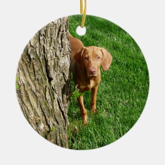 Vizsla Ornament (Voorkant)