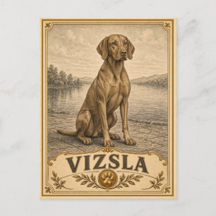 Vizsla, Oude Erfgoedhond Briefkaart