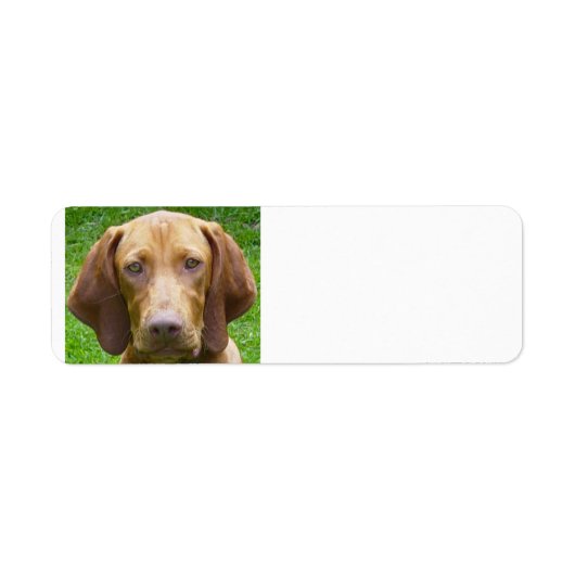 vizsla.png etiket (Voorkant)