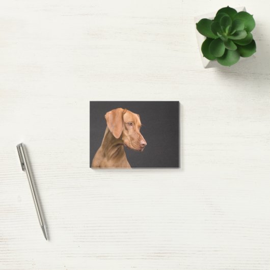Vizsla Post-it® Notes (Kantoor)