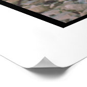 Vizsla Poster (Hoek)